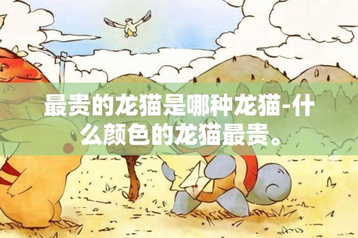 最貴的龍貓是哪種龍貓-什么顏色的龍貓最貴。