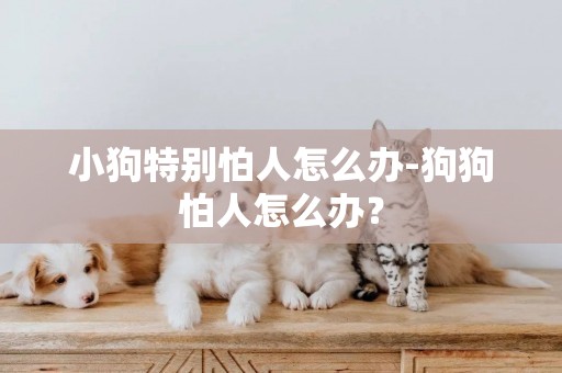 小狗特別怕人怎么辦-狗狗怕人怎么辦？