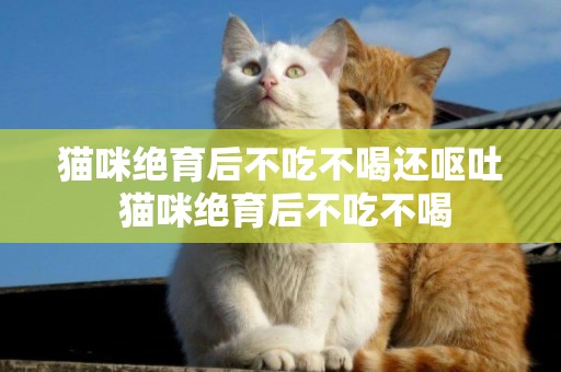 貓咪絕育后不吃不喝還嘔吐 貓咪絕育后不吃不喝