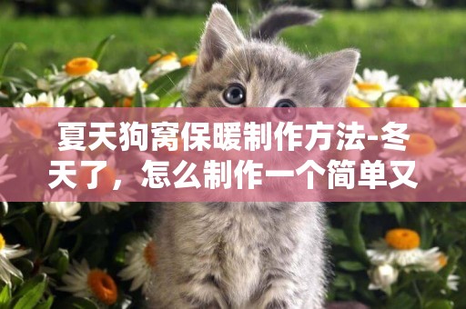 夏天狗窩保暖制作方法-冬天了，怎么制作一個簡單又保暖的狗窩
