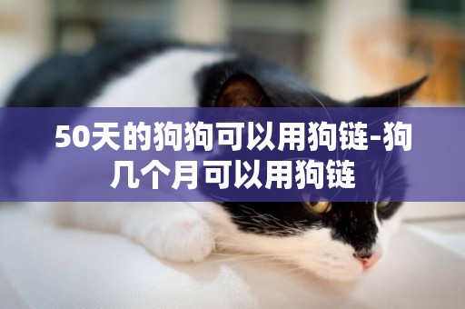 50天的狗狗可以用狗鏈-狗幾個月可以用狗鏈
