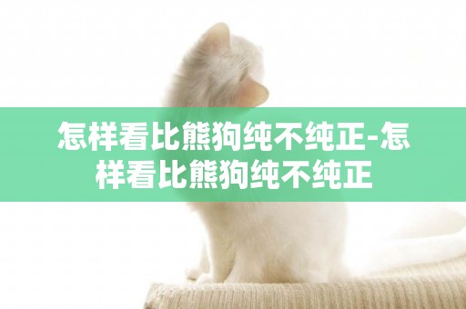 怎樣看比熊狗純不純正-怎樣看比熊狗純不純正