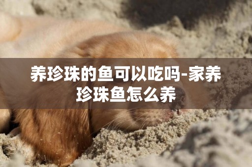 養珍珠的魚可以吃嗎-家養珍珠魚怎么養