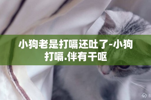 小狗老是打嗝還吐了-小狗打嗝.伴有干嘔
