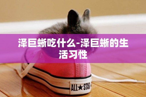 澤巨蜥吃什么-澤巨蜥的生活習性