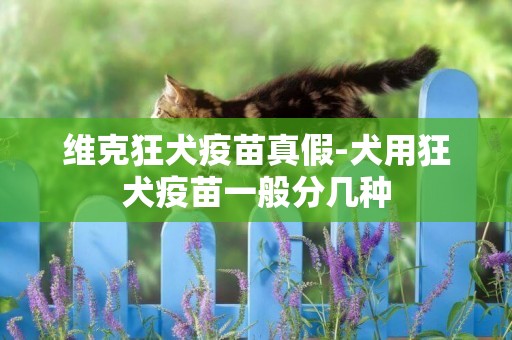 維克狂犬疫苗真假-犬用狂犬疫苗一般分幾種