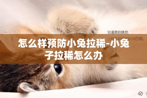 怎么樣預防小兔拉稀-小兔子拉稀怎么辦