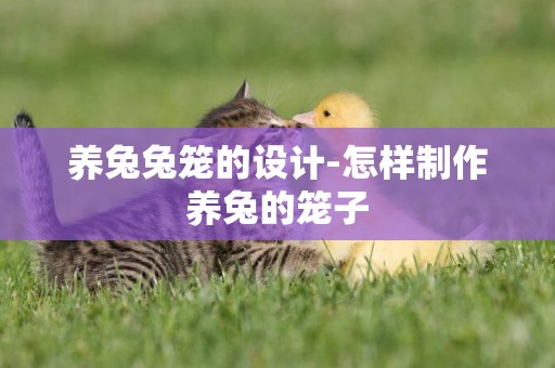 養兔兔籠的設計-怎樣制作養兔的籠子
