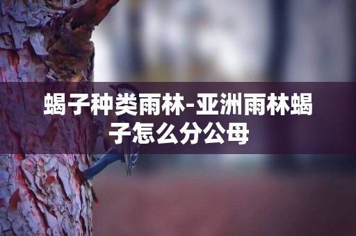 蝎子種類雨林-亞洲雨林蝎子怎么分公母