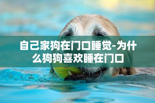 自己家狗在門口睡覺-為什么狗狗喜歡睡在門口