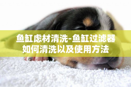 魚缸慮材清洗-魚缸過濾器如何清洗以及使用方法