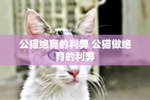 公貓絕育的利弊 公貓做絕育的利弊