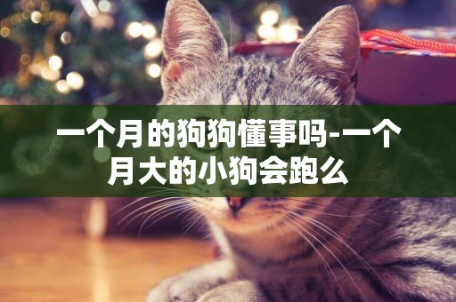 一個月的狗狗懂事嗎-一個月大的小狗會跑么