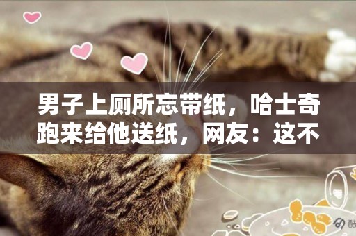 男子上廁所忘帶紙，哈士奇跑來給他送紙，網友：這不是純種的吧？ 