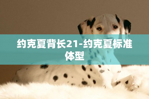 約克夏背長21-約克夏標準體型