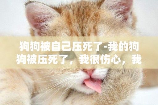狗狗被自己壓死了-我的狗狗被壓死了，我很傷心，我怎么辦