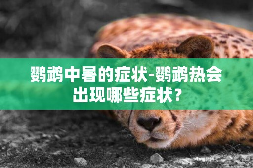 鸚鵡中暑的癥狀-鸚鵡熱會出現哪些癥狀？