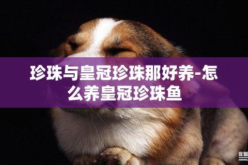 珍珠與皇冠珍珠那好養-怎么養皇冠珍珠魚
