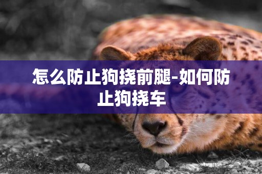 怎么防止狗撓前腿-如何防止狗撓車