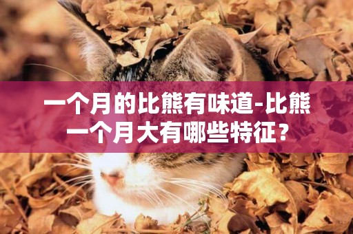 一個月的比熊有味道-比熊一個月大有哪些特征？