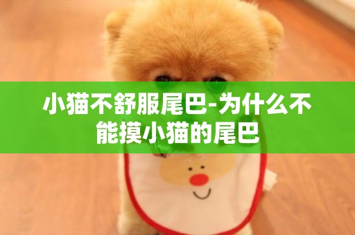 小貓不舒服尾巴-為什么不能摸小貓的尾巴