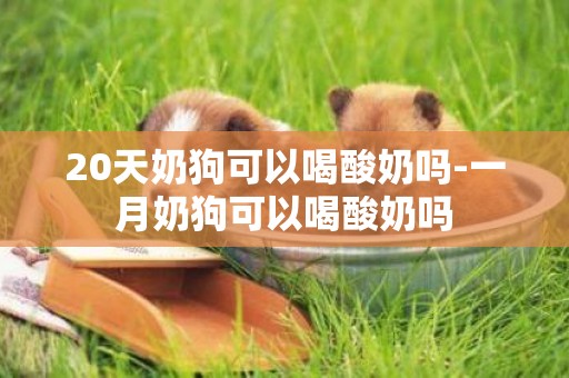 20天奶狗可以喝酸奶嗎-一月奶狗可以喝酸奶嗎