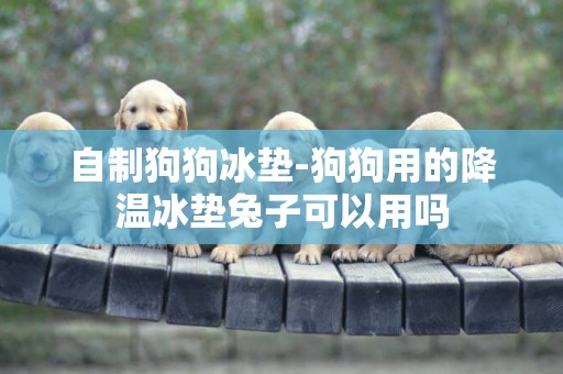 自制狗狗冰墊-狗狗用的降溫冰墊兔子可以用嗎