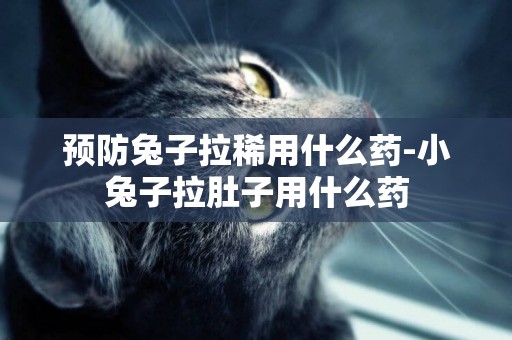 預防兔子拉稀用什么藥-小兔子拉肚子用什么藥