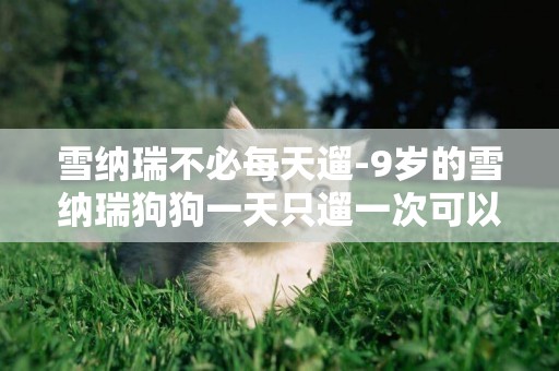 雪納瑞不必每天遛-9歲的雪納瑞狗狗一天只遛一次可以嗎?