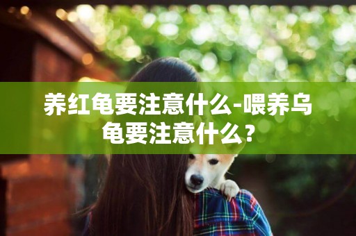 養紅龜要注意什么-喂養烏龜要注意什么？