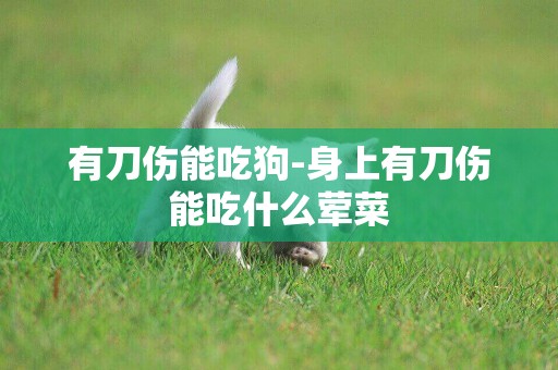 有刀傷能吃狗-身上有刀傷能吃什么葷菜
