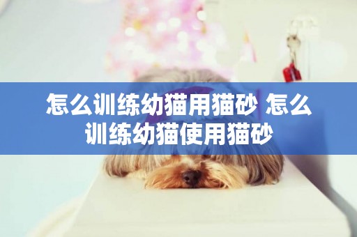 怎么訓練幼貓用貓砂 怎么訓練幼貓使用貓砂