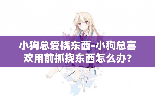 小狗總愛撓東西-小狗總喜歡用前抓撓東西怎么辦？