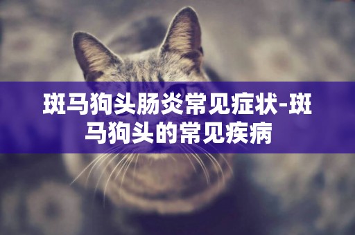 斑馬狗頭腸炎常見癥狀-斑馬狗頭的常見疾病