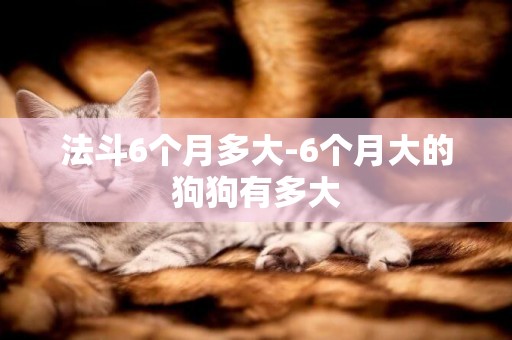 法斗6個月多大-6個月大的狗狗有多大