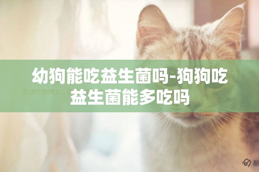 幼狗能吃益生菌嗎-狗狗吃益生菌能多吃嗎