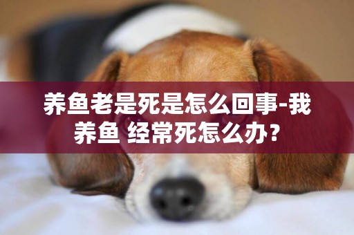 養魚老是死是怎么回事-我養魚 經常死怎么辦？