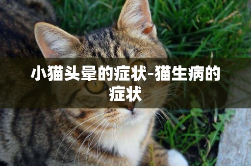 小貓頭暈的癥狀-貓生病的癥狀