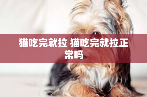 貓吃完就拉 貓吃完就拉正常嗎