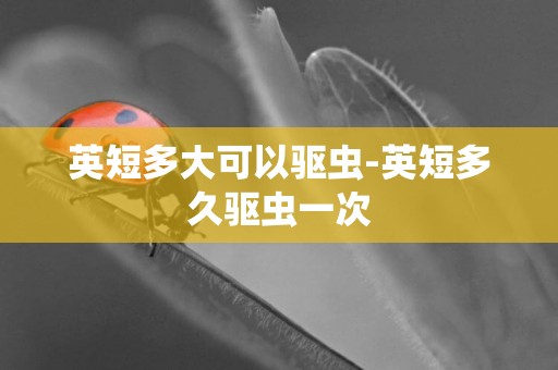 英短多大可以驅蟲-英短多久驅蟲一次