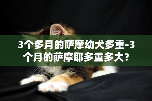 3個多月的薩摩幼犬多重-3個月的薩摩耶多重多大？