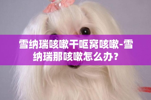 雪納瑞咳嗽干嘔窩咳嗽-雪納瑞那咳嗽怎么辦？