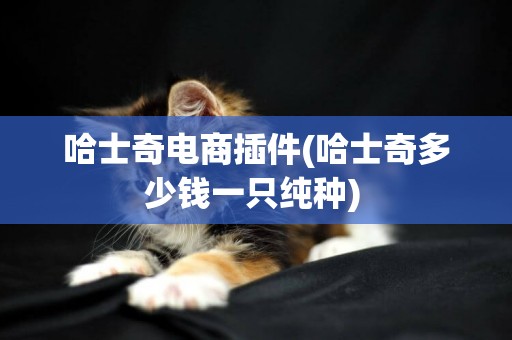 哈士奇電商插件(哈士奇多少錢一只純種) 