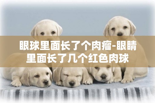 眼球里面長了個肉瘤-眼睛里面長了幾個紅色肉球