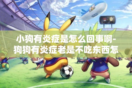 小狗有炎癥是怎么回事啊-狗狗有炎癥老是不吃東西怎么辦啊