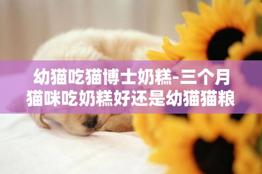 幼貓吃貓博士奶糕-三個月貓咪吃奶糕好還是幼貓貓糧好