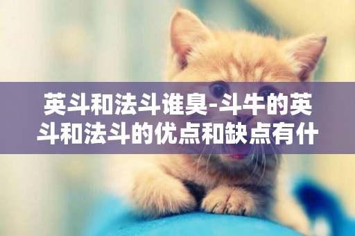 英斗和法斗誰臭-斗牛的英斗和法斗的優點和缺點有什么？