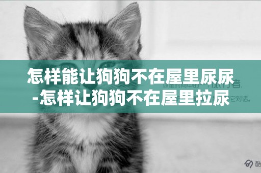 怎樣能讓狗狗不在屋里尿尿-怎樣讓狗狗不在屋里拉尿