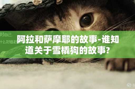 阿拉和薩摩耶的故事-誰知道關于雪橇狗的故事?
