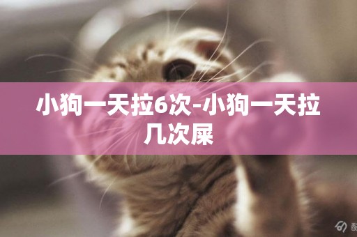 小狗一天拉6次-小狗一天拉幾次屎